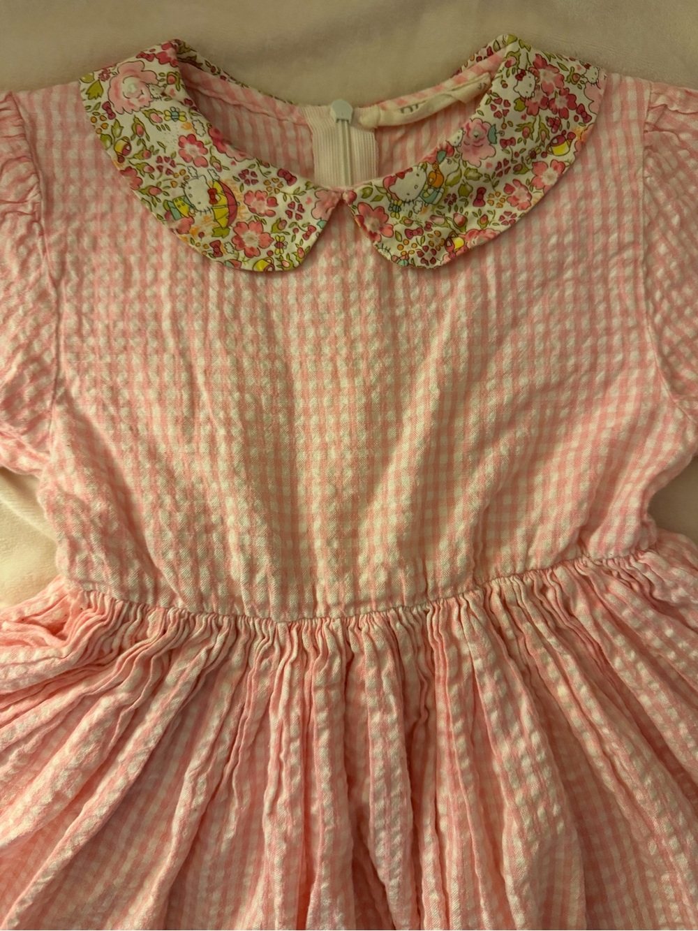 Pink Gingham Numi Dress with Floral Hello Kitty Peter Pan Collar